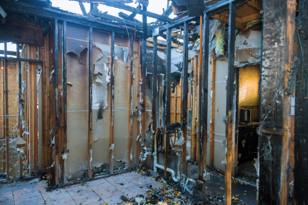 Professional Fire Damage Repair technician working in Woodbine, GA